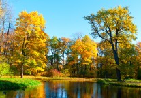 魏小安：旅游企业运营的泛与专