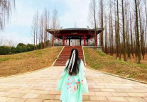 微山人免门票游微山湖旅游区 截至12月31日