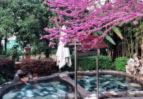 这届睡不着的年轻人，都来明月山温汤泡温泉了！