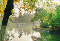 格菲酒店，于文献之邦带您沉浸式体验书画之美