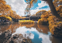 来这家格美酒店，共享江鲜美味