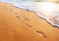 魏小安：如何建设国际沙漠旅游目的地？