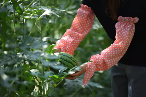 中旅酒店即将再次火热开播 - 副本1089.png