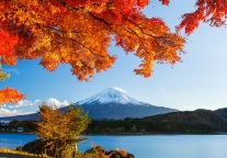 新疆5、6月份计划推出近千项文旅活动