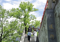 江西萍乡：烟花耀景区 点燃夜武功