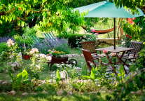 新疆累计退还544家旅行社1.25亿元保证金