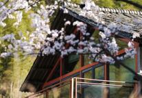 携程数据：端午首日景区门票预约量较五一首日增长37%
