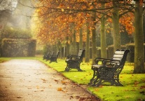 陕西旅游集团：6亿元公司债将于4月25日付息 