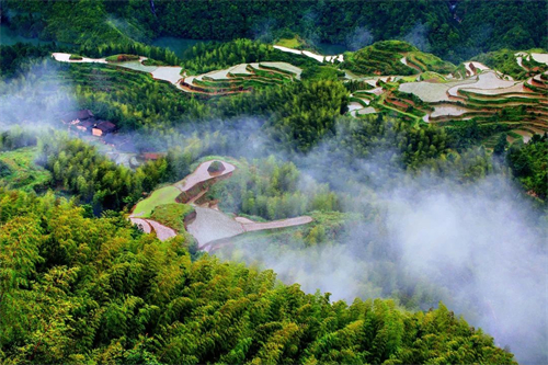 泰顺.jpg