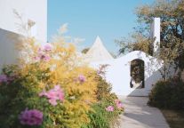 如何找到更好的城市酒店生意？