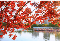 北京市属公园发布30处彩叶观赏打卡地