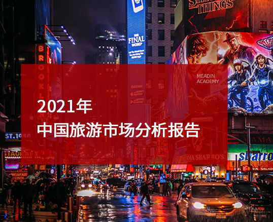 2021 年中国旅游市场分析报告