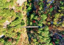 提振精气神 奋进新征程——萍乡武功山风景名胜区推动党的二十大精神在基层落地生根