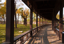 遍布历史的足迹，格林东方酒店陪您打卡古城太原