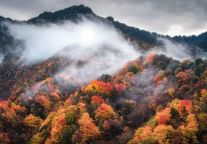 秋游记，万澳酒店连住礼遇邀约