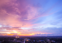 魏小安：文旅创意，四红思考（连载27）