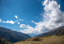 辛小龙：酒店行业等春来