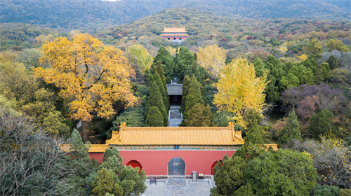 摄图网_500744746_南京明孝陵秋景（企业商用）.jpg