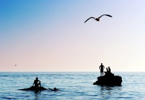 广之旅携手江门市文广旅体局，探索全域旅游合作新模式