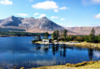 海南：将城市民宿纳入海南民宿管理范围