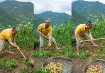 这家中端酒店开始摆烂了？