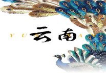 雅阁酒店 |《云南虫谷》旅游热，抢先布局大西南文旅住宿