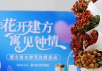 建方长租活动回顾 | 女神节特别企划，致敬每一个闪闪发光的她