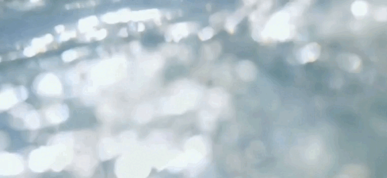1.gif
