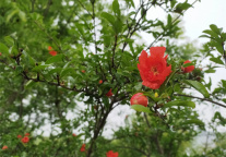 贵州1.13亿元文旅消费券于7月26日发放