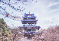 下榻无锡高铁东站锦安路格菲酒店，千里共婵娟