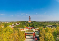 微山湖旅游区 | 秋将逝 初冬近，这一湖秋色渐渐落幕