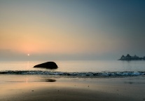 上海崇明东平国家森林公园、西沙明珠湖景区5月27日起试点开放