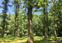 济宁孔子文化旅游集团打造济宁生态康旅“后花园”，探索行业发展新思路