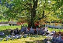 明月山景区 | 银杏未黄，时光还长！这样的秋色你心动了吗？