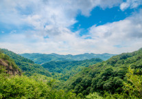 格林客栈六安市酒店，等你来采菊东篱、悠见南山