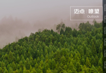 未来3年，河南文旅的奇迹还将持续｜瞭望018期