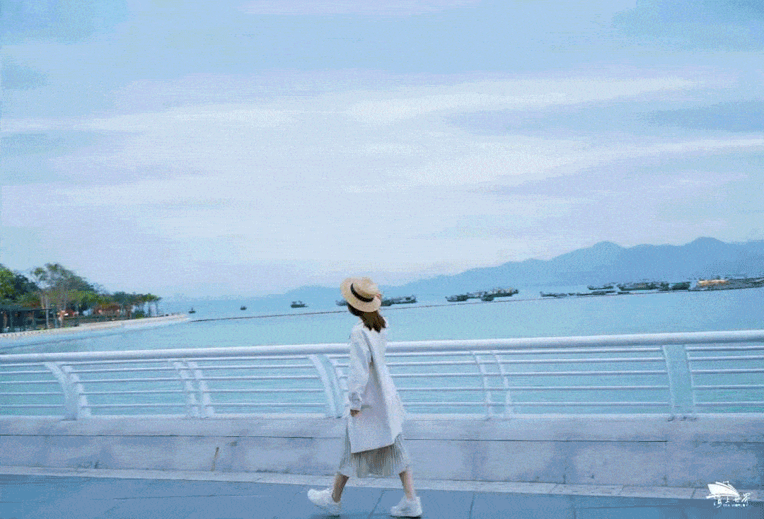 1.gif