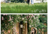 雅阁酒店集团|《去有风的地方》，来一场浪漫惬意之旅