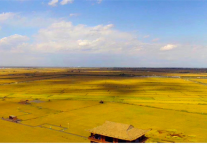 来格林豪泰酒店辽宁盘锦大洼店，邂逅童话里的“岛屿”