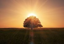 北京：可利用功能核心区平房(院落)腾退空间发展租赁住房