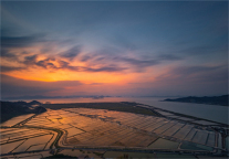 来格林公寓宁波杭州湾世纪城店，与自然美景为邻