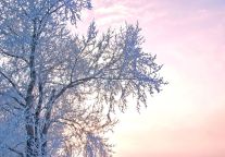 冬奥一周年，酒店业的“冰雪元年”还得看2023