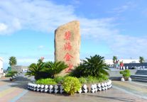 上海奉贤区部分旅游景区恢复开放