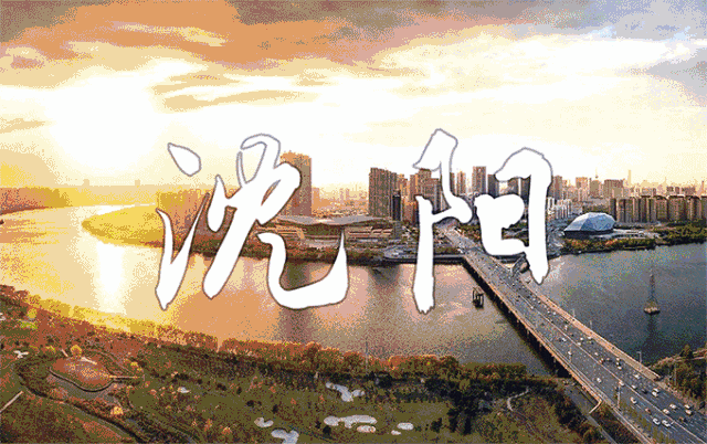 1111.gif