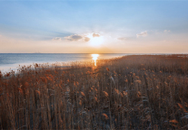 赏日出观日落，这家贝壳酒店带您了解别样魔都