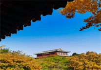 打卡深秋的山海关景区，这个时间刚刚好！