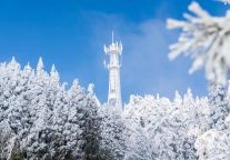 明月山的冬雪已经发货啦，预计本周六送达！