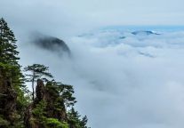萍乡武功山景区荣誉上榜！中国风筝协会大众水平等级培训试点合作单位公布！