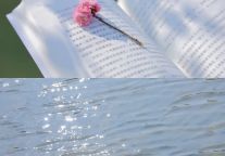 梅花、早樱盛开！武功山赏花预报来了！