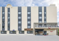 三月早樱初绽，宜尚酒店武汉抓取亮眼业绩